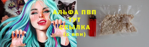 дмт Абаза
