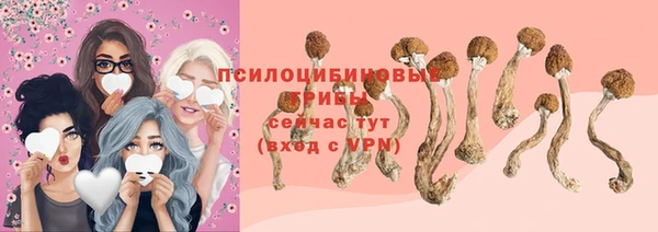 дмт Абаза