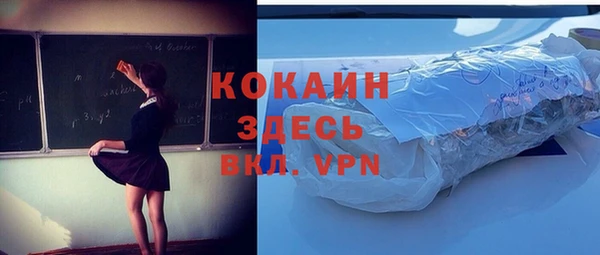 дмт Абаза