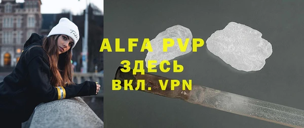 дмт Абаза