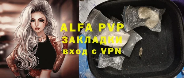 дмт Абаза