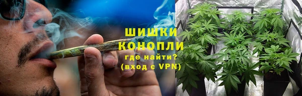 дмт Абаза