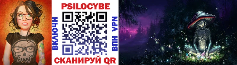 цена   Болотное  Псилоцибиновые грибы Psilocybe 