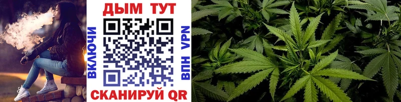 где купить наркотик  Болотное  Бошки марихуана Amnesia 